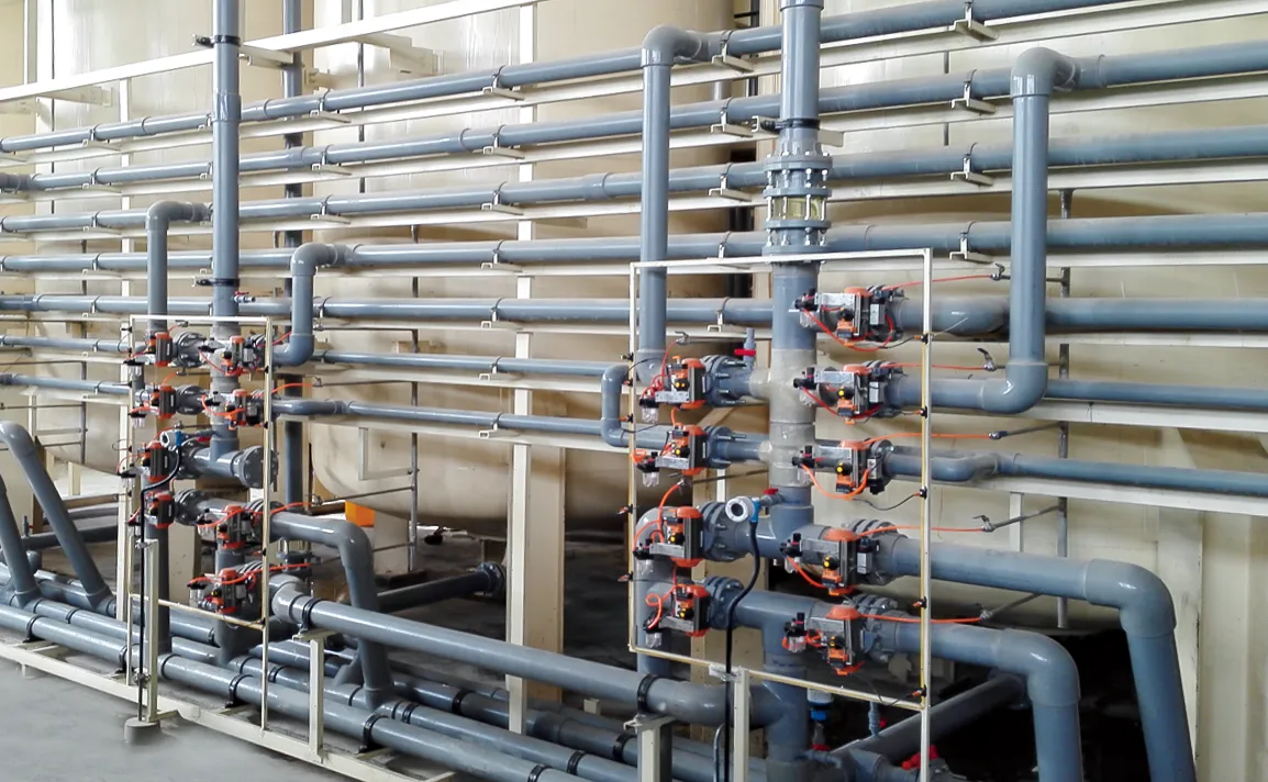 Ion Exchange section