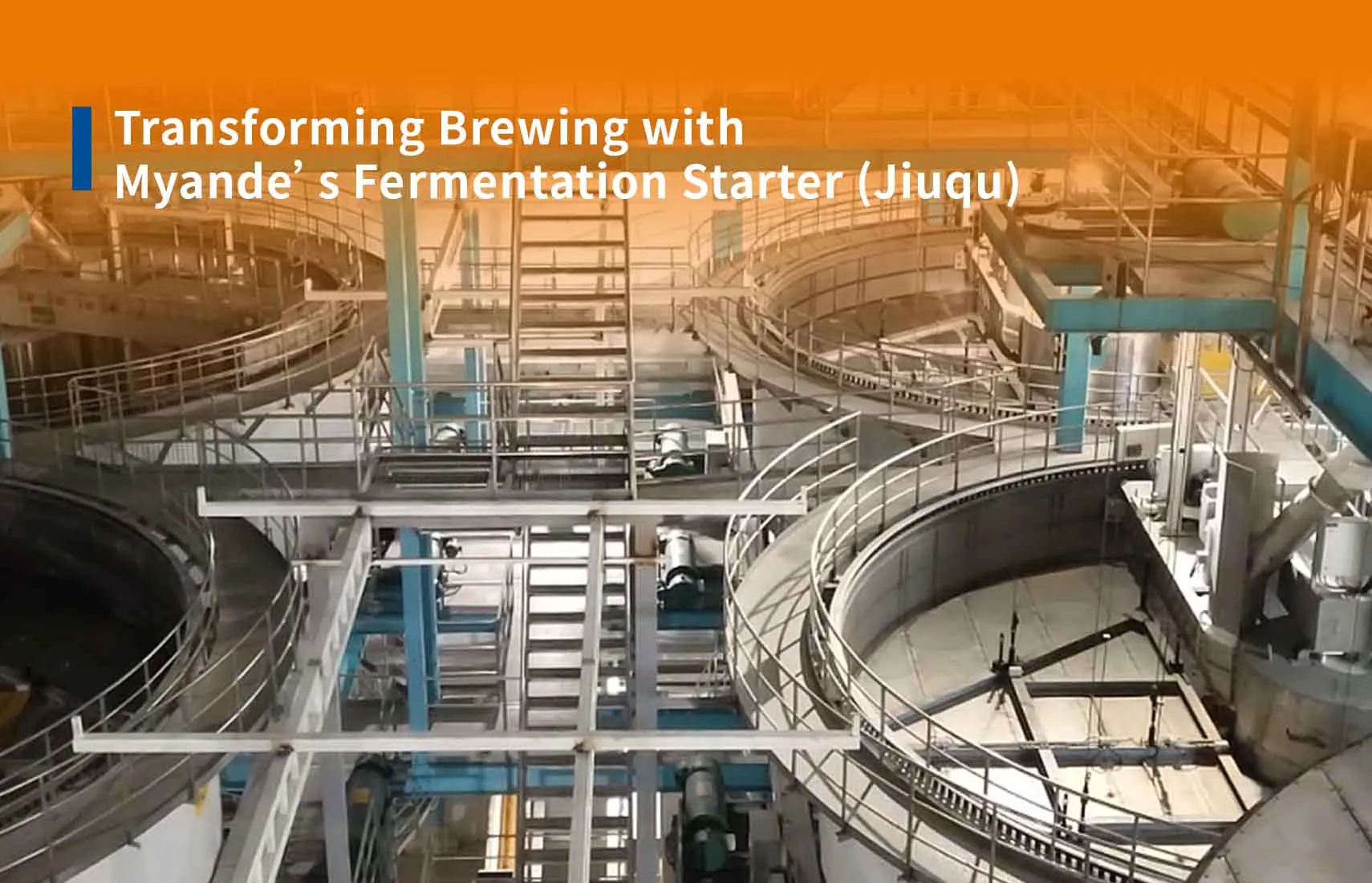 Transforming Brewing with Myande’s Fermentation Starter (Jiuqu)
