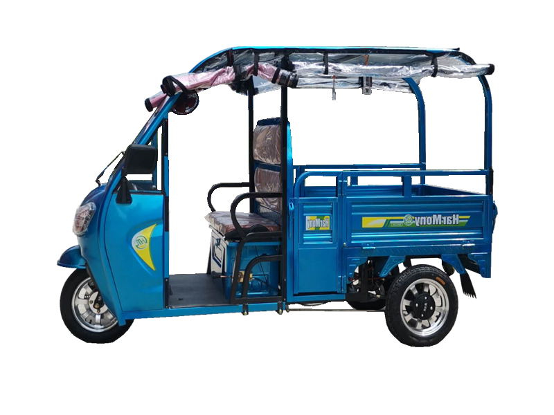 HARMONY HM001 Electric Tricycle Cargo With Roof manufacturer, company